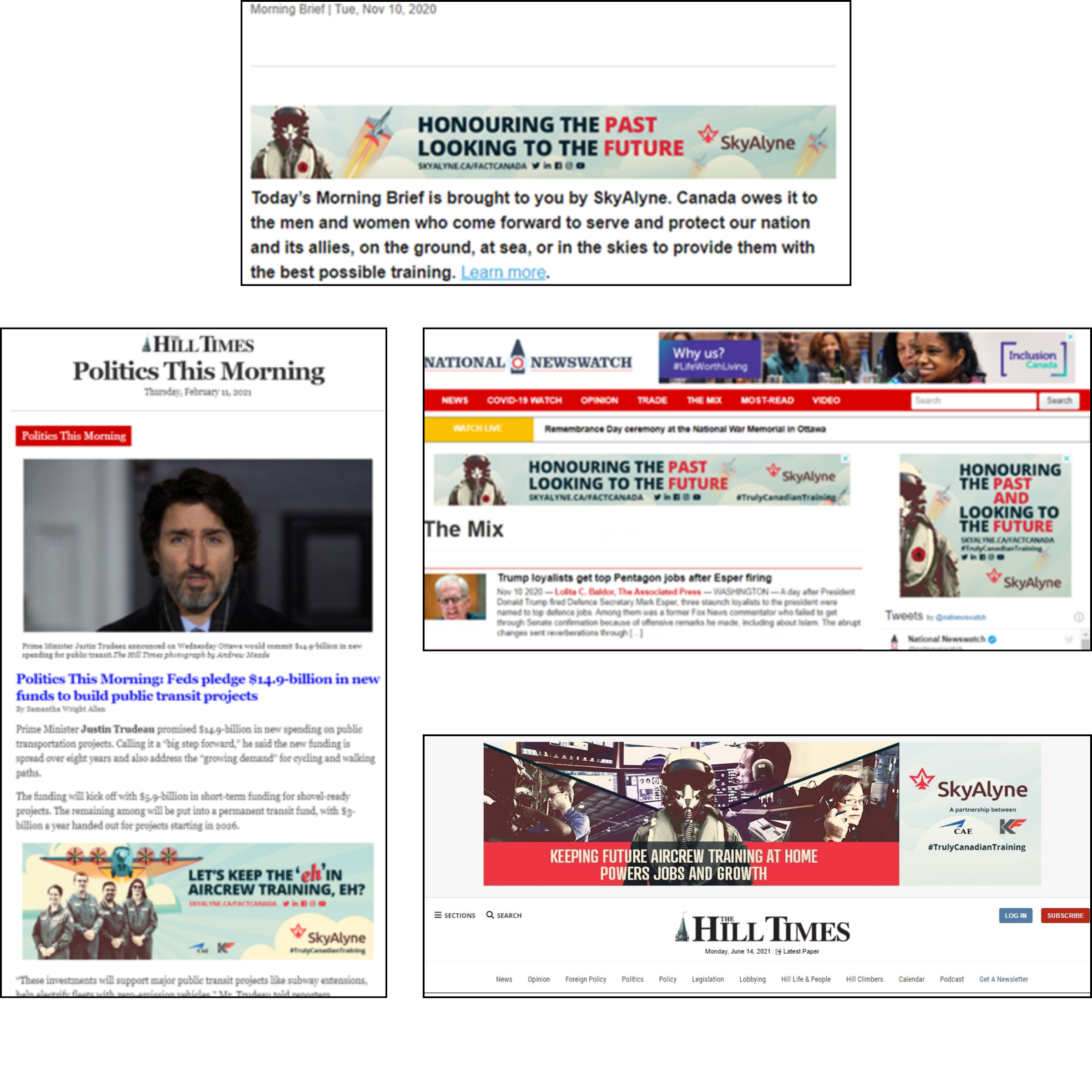 Digital ads targeting politicians and government